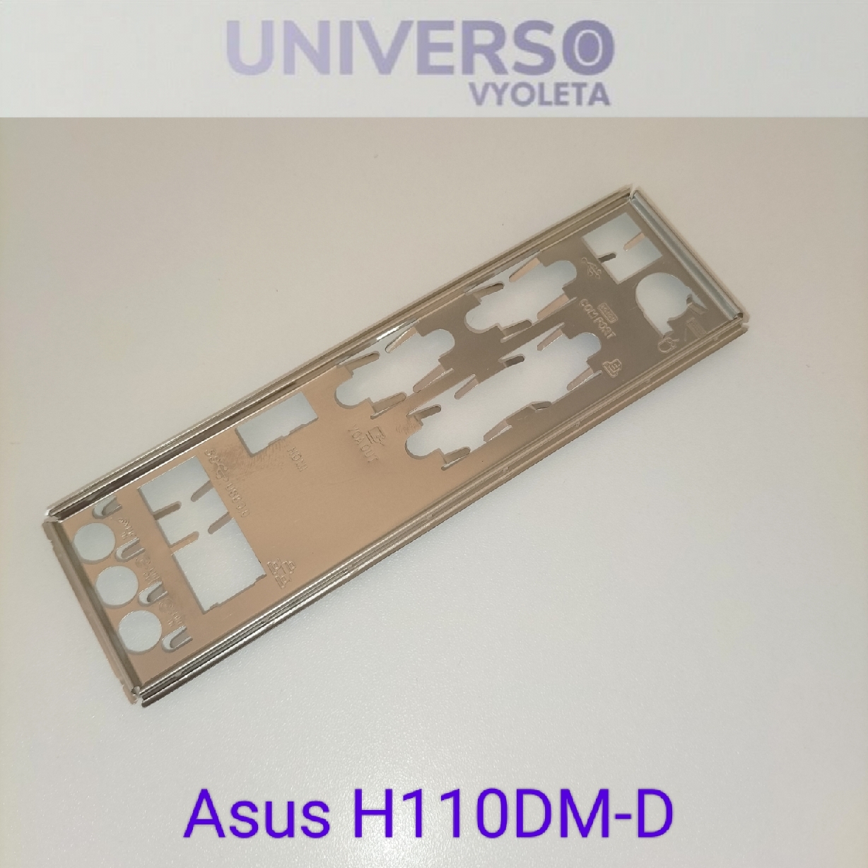 ASUS H110DM-D