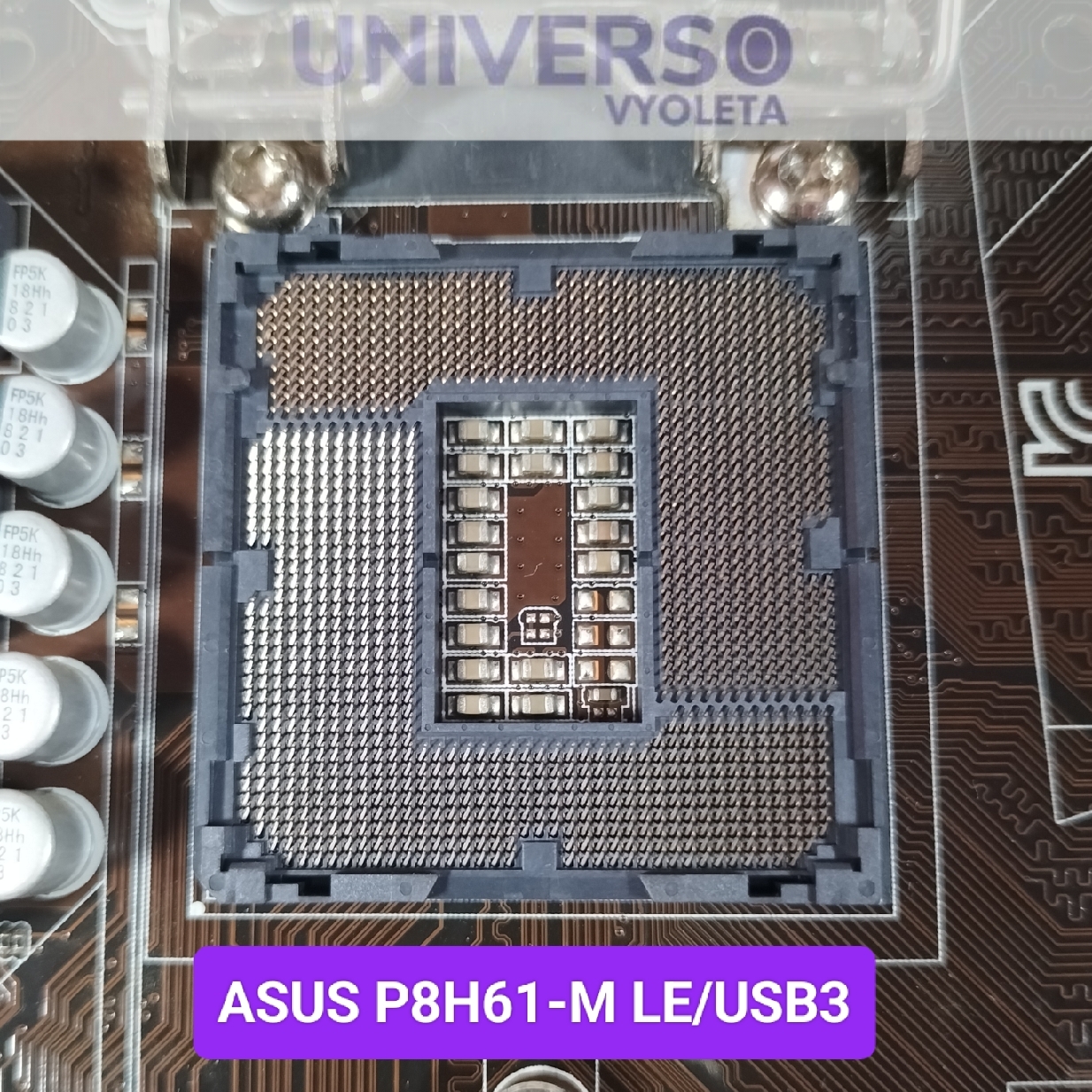 ASUS P8H61-M LE_USB3 ZOCALO